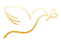 Lighting Lives Blessing Nations TV Korean (LLBN) (480p)